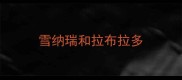 雪纳瑞和拉布拉多