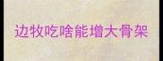 边牧吃啥能增大骨架
