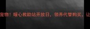 秦皇岛免费领养宠物暖心救助站开放日领养代替购买让毛孩子找到家