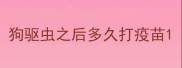 狗驱虫之后多久打疫苗
