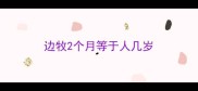 边牧2个月等于人几岁
