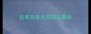 拉布拉多犬买回总是叫