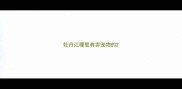 牡丹江哪里有卖宠物的