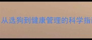小狗养护全攻略从选狗到健康管理的科学指南附最新数据