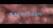泰迪怀孕还打疫苗吗