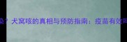 打疫苗后仍会感染犬窝咳的真相与预防指南疫苗有效吗如何科学防护