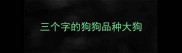 三个字的狗狗品种大狗