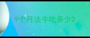 9个月法牛吃多少