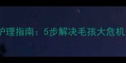 哈士奇掉毛期科学护理指南5步解决毛孩大危机告别地板铺炕