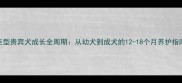 巨型贵宾犬成长全周期从幼犬到成犬的12-18个月养护指南