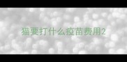 猫要打什么疫苗费用