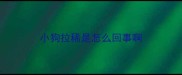 小狗拉稀是怎么回事啊