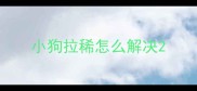 小狗拉稀怎么解决