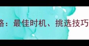 专业指南小狗磨牙棒使用全攻略最佳时机挑选技巧与注意事项养宠家长必看