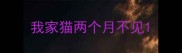 我家猫两个月不见