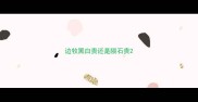 边牧黑白贵还是陨石贵