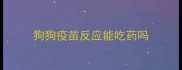 狗狗疫苗反应能吃药吗