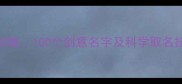 边境牧羊犬起名全攻略100个创意名字及科学取名技巧附养护小贴士