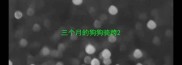 三个月的狗狗骑跨