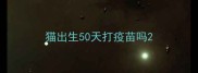 猫出生50天打疫苗吗