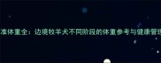 边牧标准体重全边境牧羊犬不同阶段的体重参考与健康管理指南