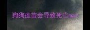 狗狗疫苗会导致死亡ma