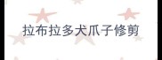 拉布拉多犬爪子修剪