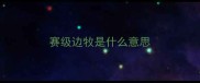 赛级边牧是什么意思