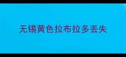 无锡黄色拉布拉多丢失