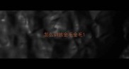 怎么训练金毛金毛