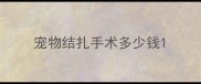宠物结扎手术多少钱