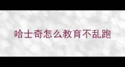 哈士奇怎么教育不乱跑
