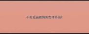 不打疫苗的狗狗怎样养活
