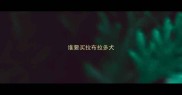 谁要买拉布拉多犬