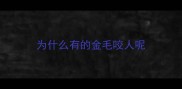为什么有的金毛咬人呢