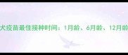 幼犬狂犬疫苗最佳接种时间1月龄6月龄12月龄全攻略