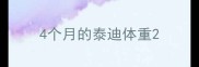 4个月的泰迪体重