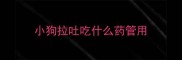 小狗拉吐吃什么药管用
