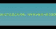 银狐幼犬耳朵竖立时间表科学养护指南与常见误区全