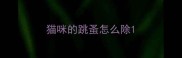猫咪的跳蚤怎么除
