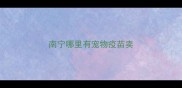 南宁哪里有宠物疫苗卖