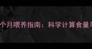 边境牧羊犬7个月喂养指南科学计算食量与营养搭配全