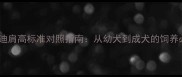 茶杯泰迪肩高标准对照指南从幼犬到成犬的饲养必备全