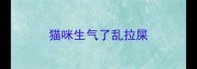 猫咪生气了乱拉屎