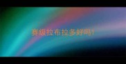赛级拉布拉多好吗