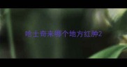 哈士奇来哪个地方红肿