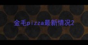 金毛pizza最新情况