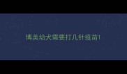 博美幼犬需要打几针疫苗