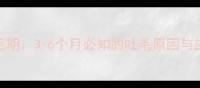 幼猫吐毛期3-6个月必知的吐毛原因与应对指南