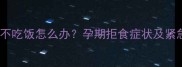 狗狗怀孕后不吃饭怎么办孕期拒食症状及紧急处理指南